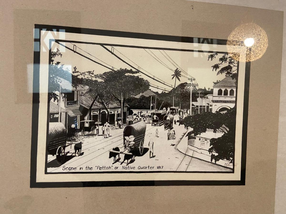 Kandy Garden Villa エクステリア 写真